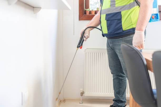Best Flea Control Services  in Harmony Grove, CA