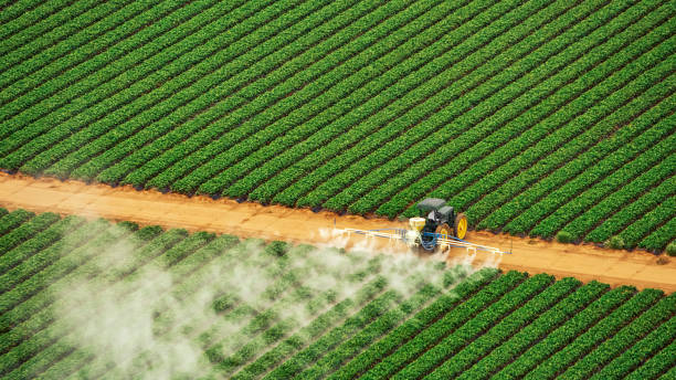 Best Mosquito Control Services  in Harmony Grove, CA