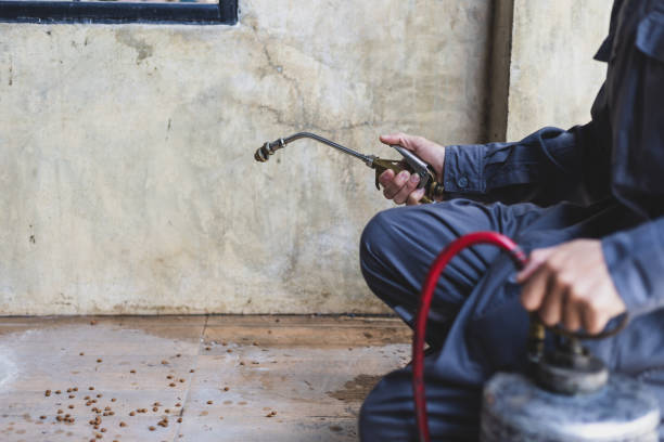 Best Termite Control Services  in Harmony Grove, CA
